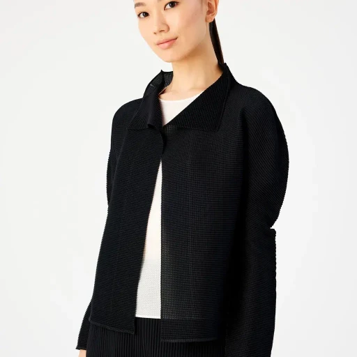 Stretch Pleats