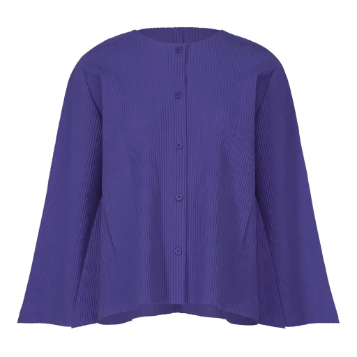 Flare Pleats