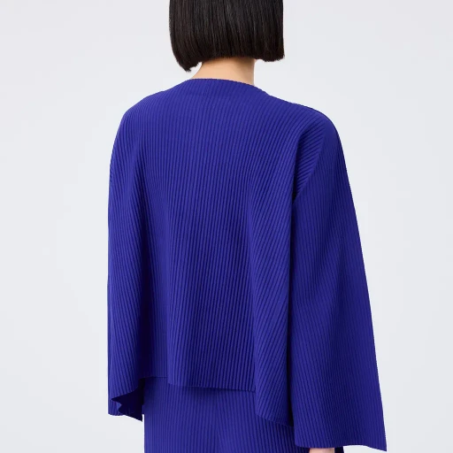 Flare Pleats
