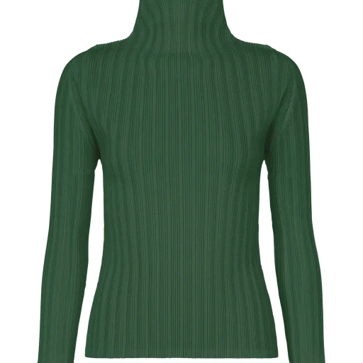 Rib Pleats December