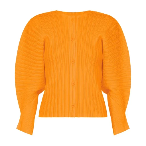 Rib Pleats December