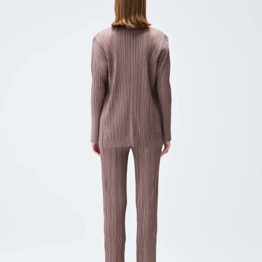 Pleats Jacket