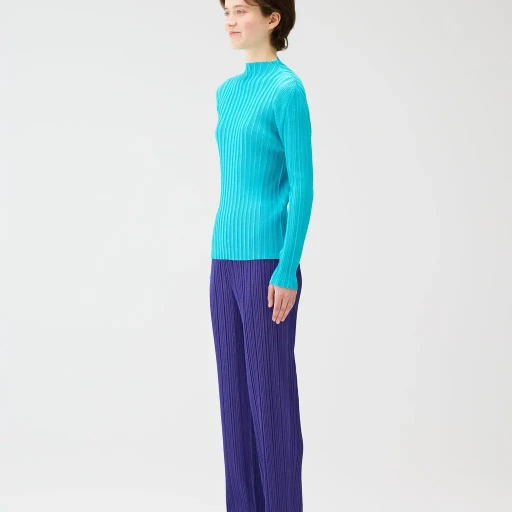 Rib Pleats January
