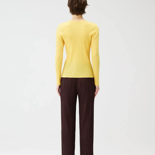 Rib Pleats January