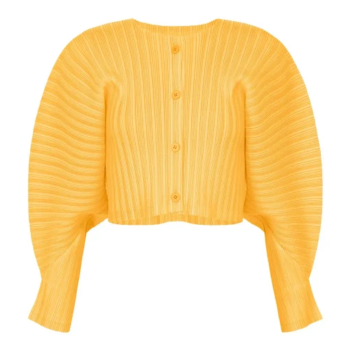 Rib Pleats January