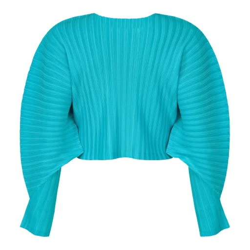 Rib Pleats January