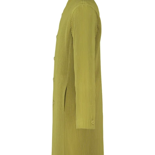 Tailored Pleats 2