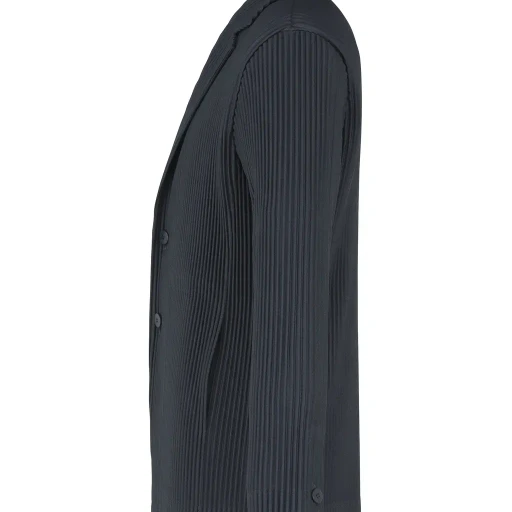 Tailored Pleats 2