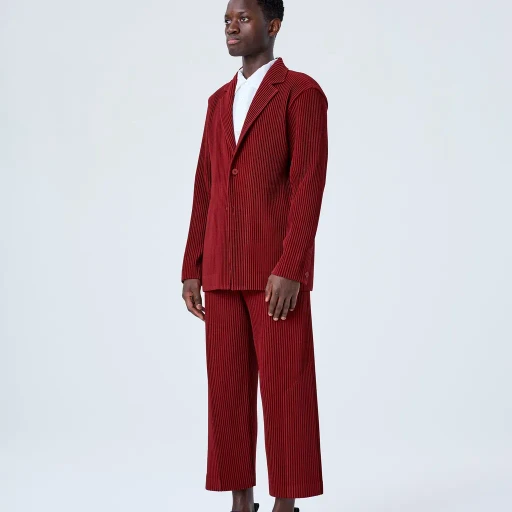 Tailored Pleats 2