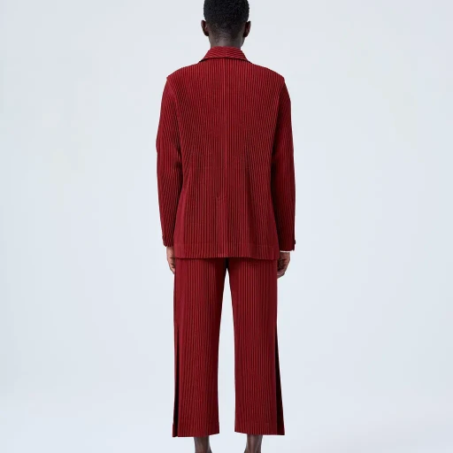 Tailored Pleats 2