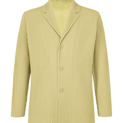 Tailored Pleats 2