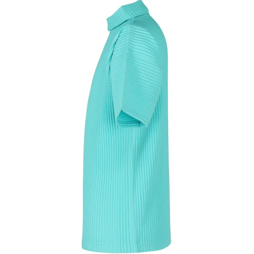 Color Pleats