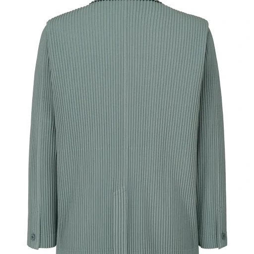 Tailored Pleats 1