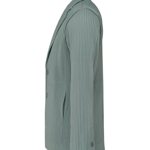 Tailored Pleats 1