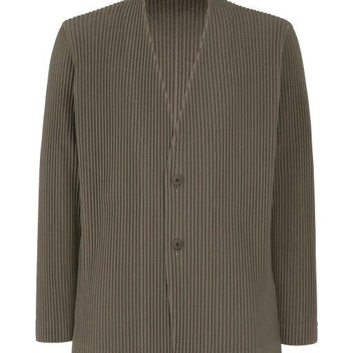 Tailored Pleats 2