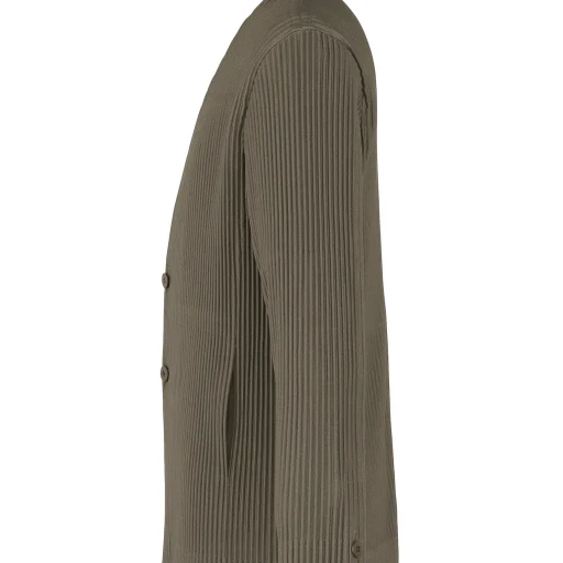 Tailored Pleats 2