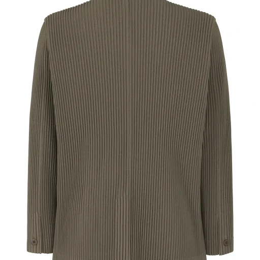Tailored Pleats 2