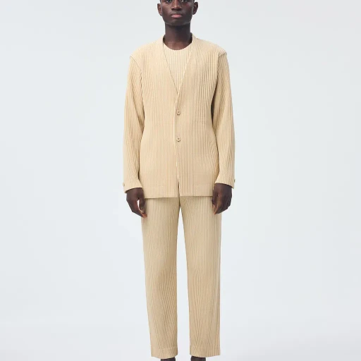 Tailored Pleats 2