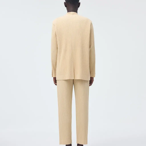 Tailored Pleats 2