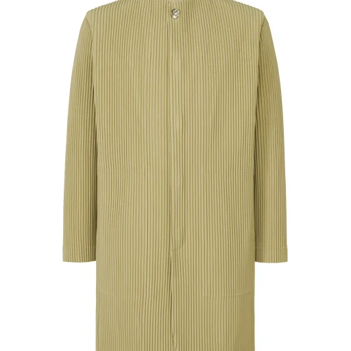 Tailored Pleats 1