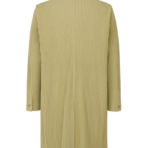 Tailored Pleats 1