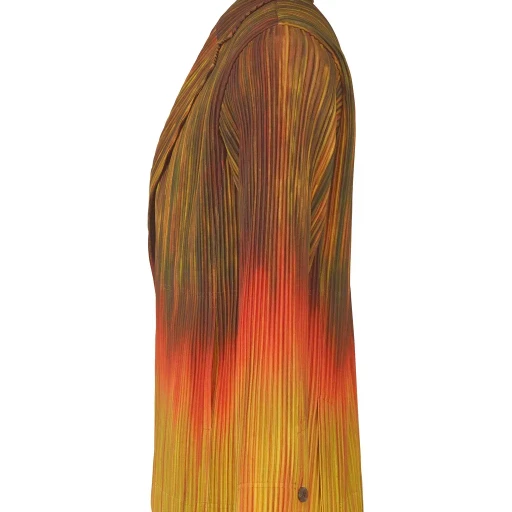 Paint Brush Close-Up