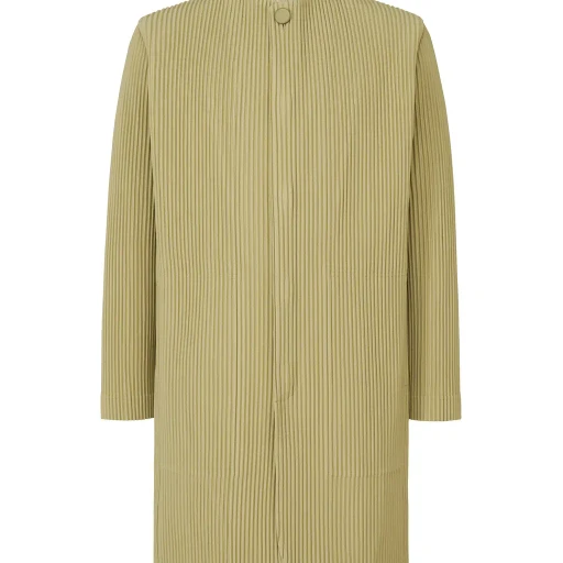 Tailored Pleats 1