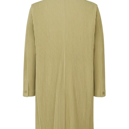 Tailored Pleats 1