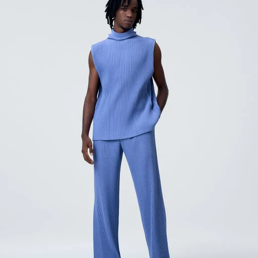 Tailored Pleats 1
