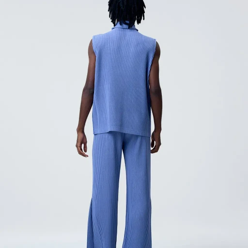 Tailored Pleats 1