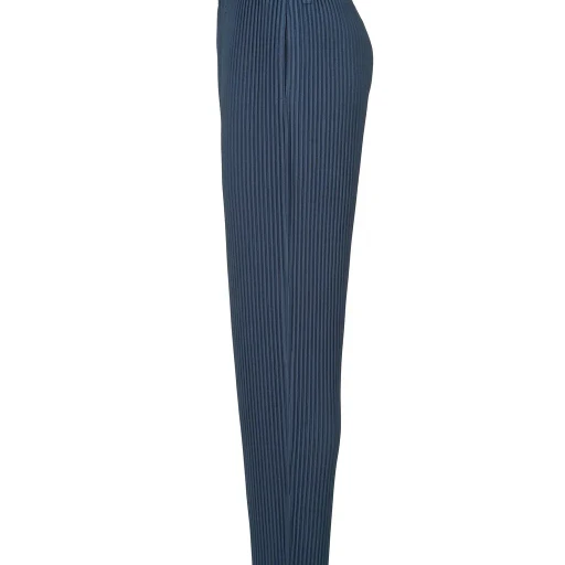 Tailored Pleats 1