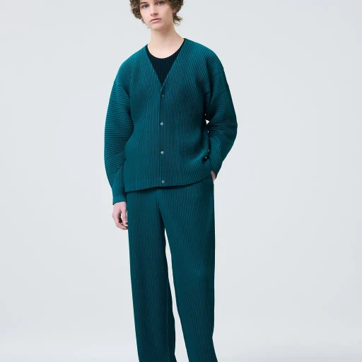 Color Pleats 1