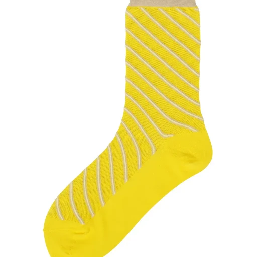 Generic Stripes Socks