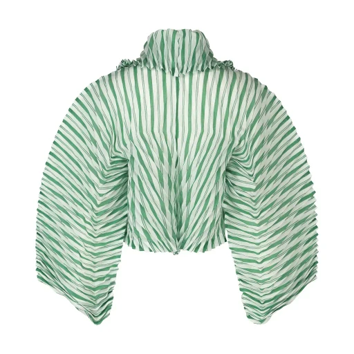 Generic Stripes