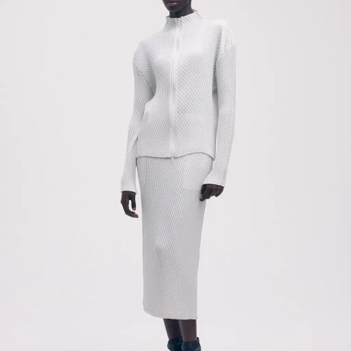 Sleek Pleats