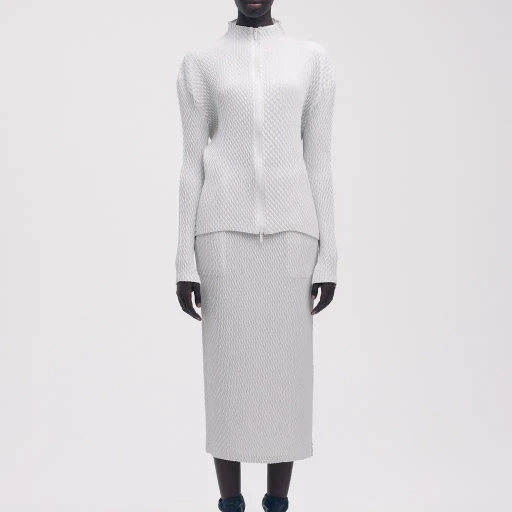 Sleek Pleats