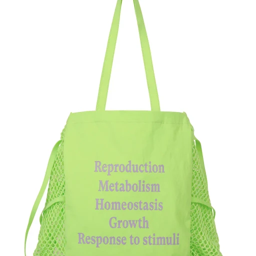 Living Tote