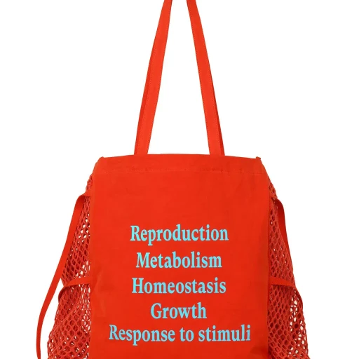 Living Tote