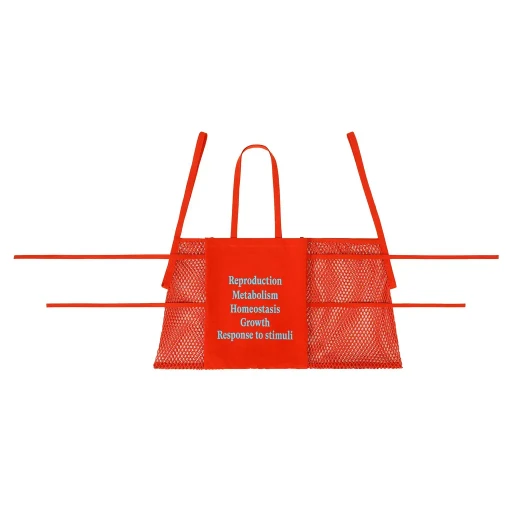 Living Tote