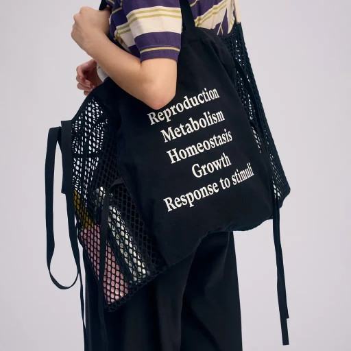 Living Tote