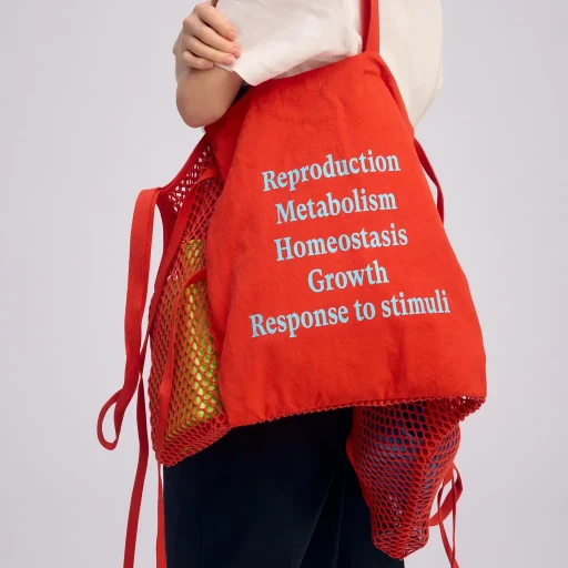 Living Tote