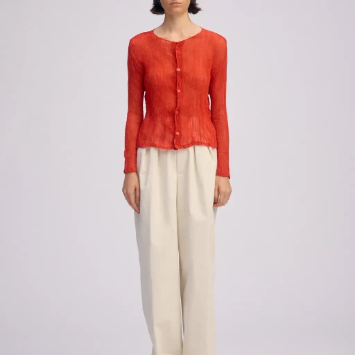 Chiffon Twist 2