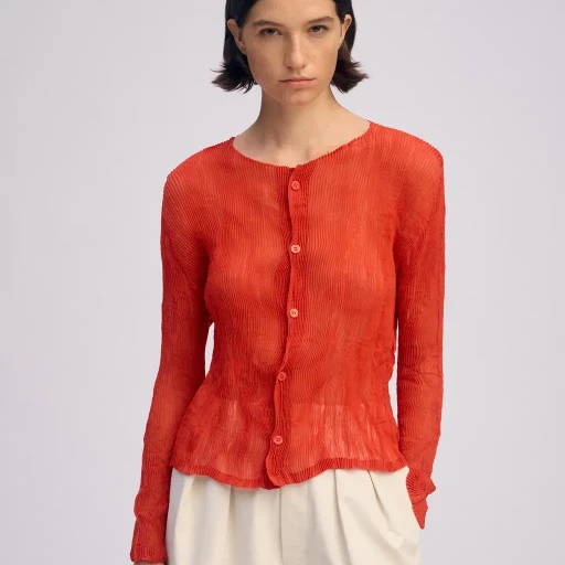Chiffon Twist 2