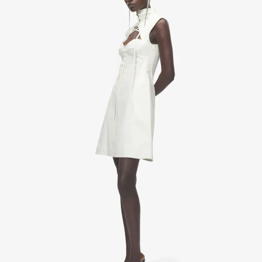 Cut-Out Corset Mini Dress