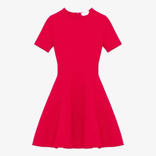 Fit And Flare Mini Dress