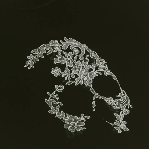 Lace Skull T-Shirt