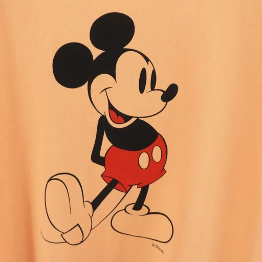 Mickey Print Long Sleeve Tee