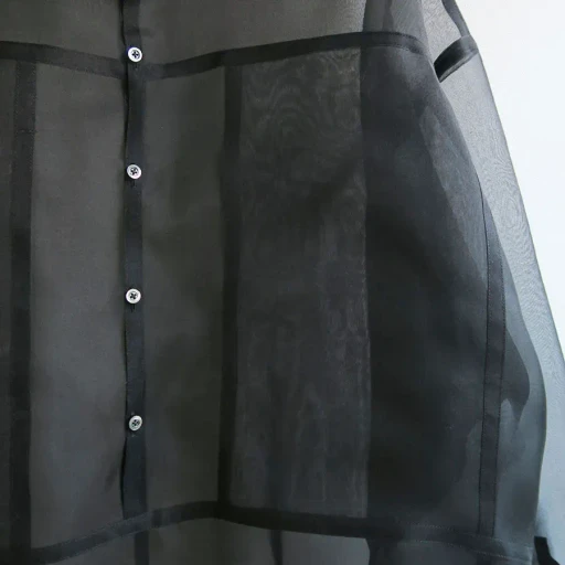 Organza Over Shirt
