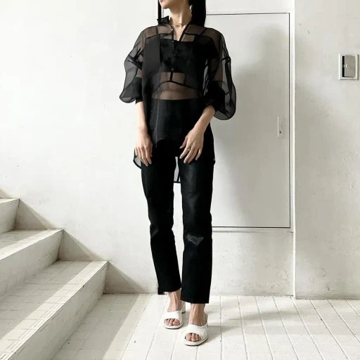 Organza Over Shirt