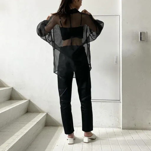Organza Over Shirt